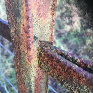 beautiful rusty deer fencing in eastnor