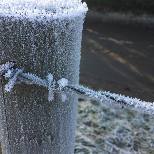 frosty gate post and barbed wire eastnor