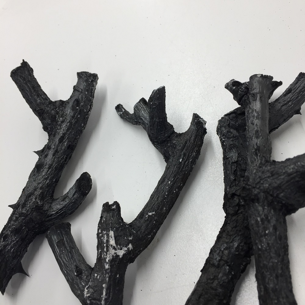 thorny charcoal sticks created by burning pruned rose bushes by herefordshire artist jon williams