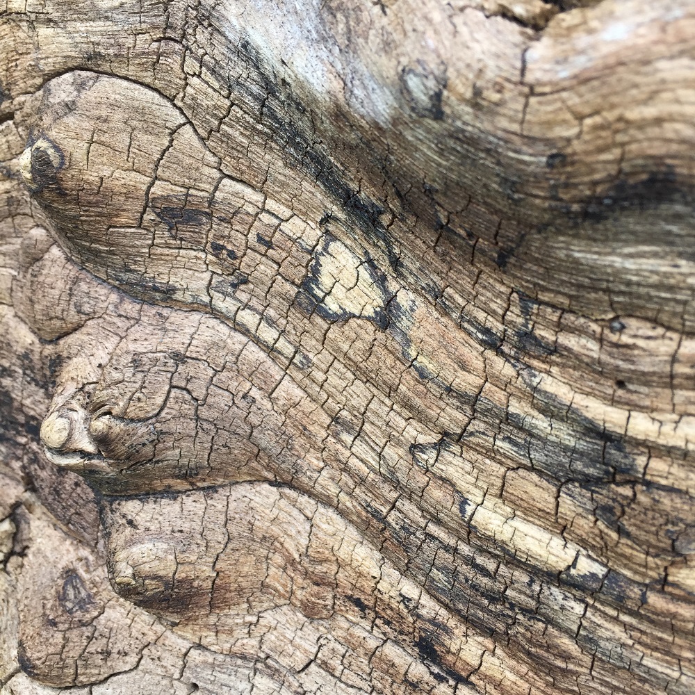 a weathered and textured oak slab at eastnor pottery herefordshire