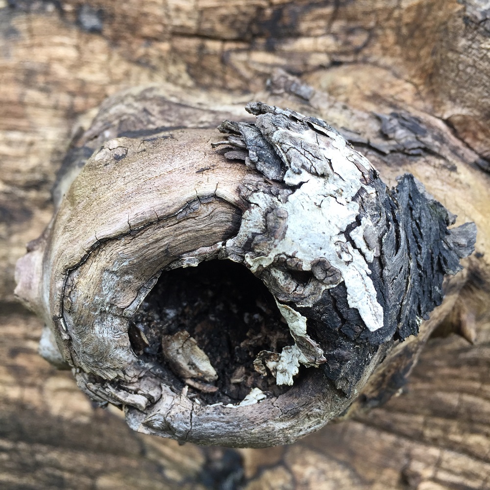 a weathered and textured oak slab at eastnor pottery herefordshire