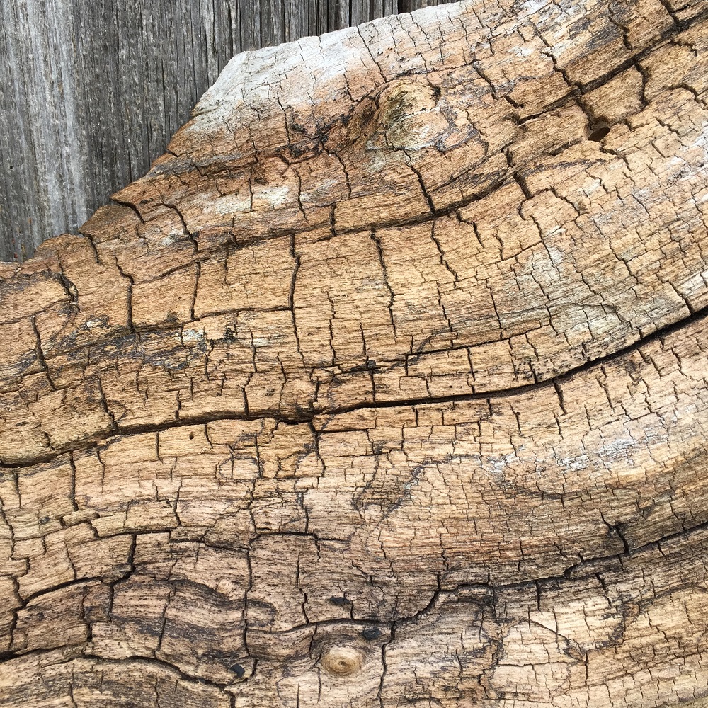 a weathered and textured oak slab at eastnor pottery herefordshire