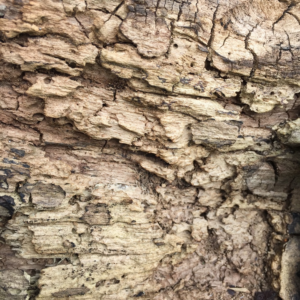 a weathered and textured oak slab at eastnor pottery herefordshire