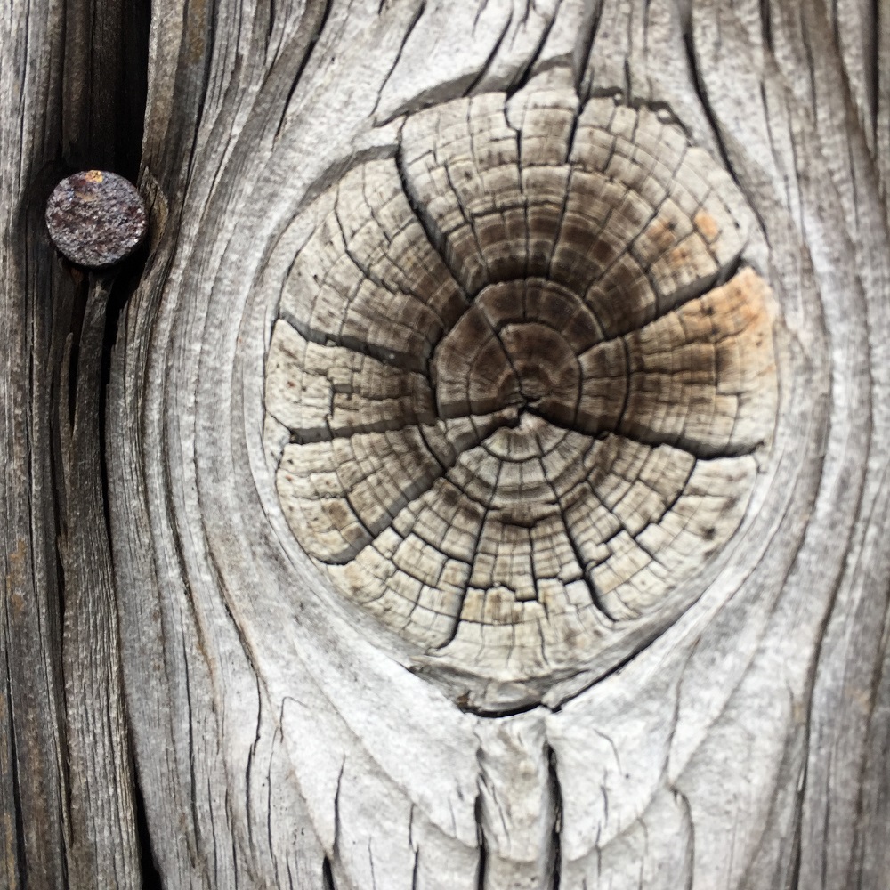 a weathered and textured oak slab at eastnor pottery herefordshire