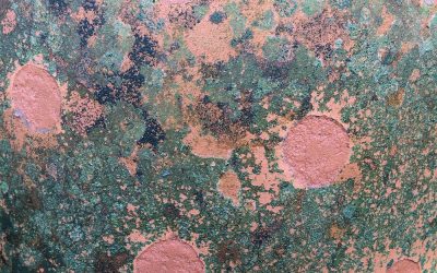 Proof of frost damage