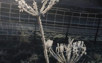 Winter walk to work