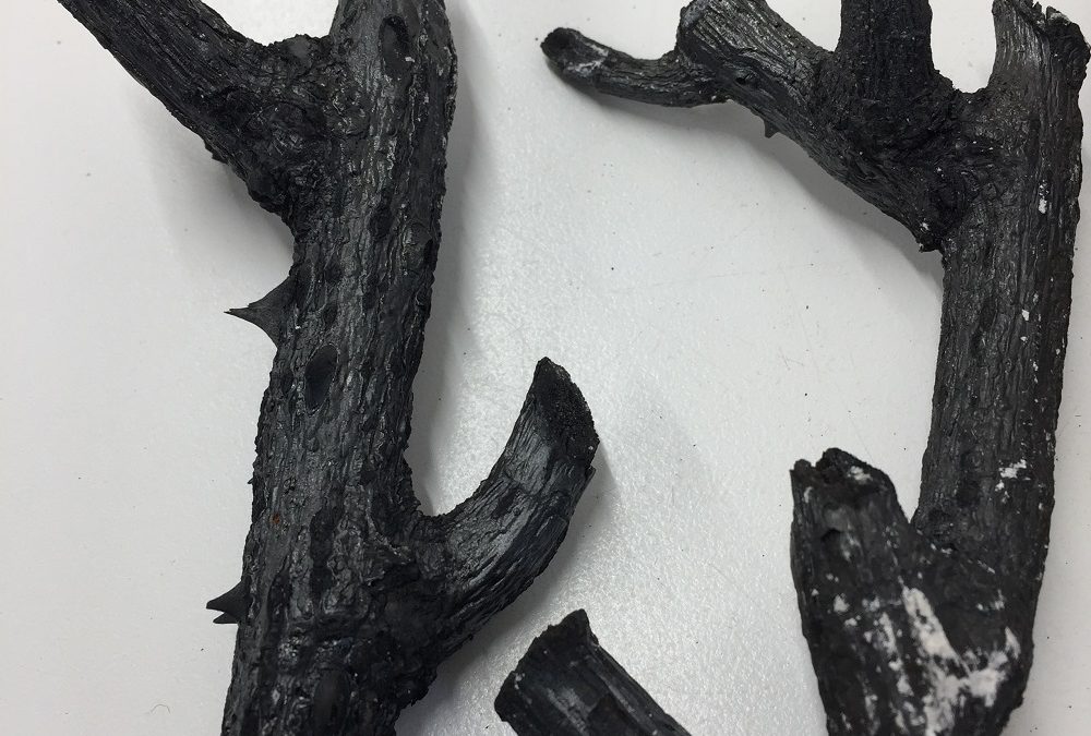 charcoal sticks created by burning twigs from a rose bush