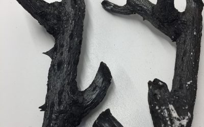 Thorny Charcoal