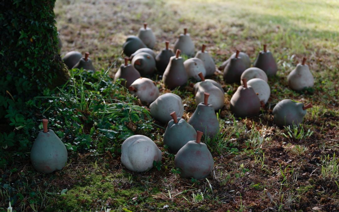 thirty ceramic pears strewn under a tree. Each pear is the size of a football